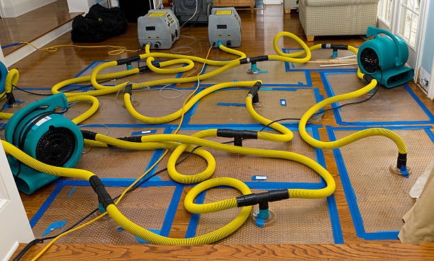 Professional Basement Flood Cleanup technician working in White Salmon, WA
